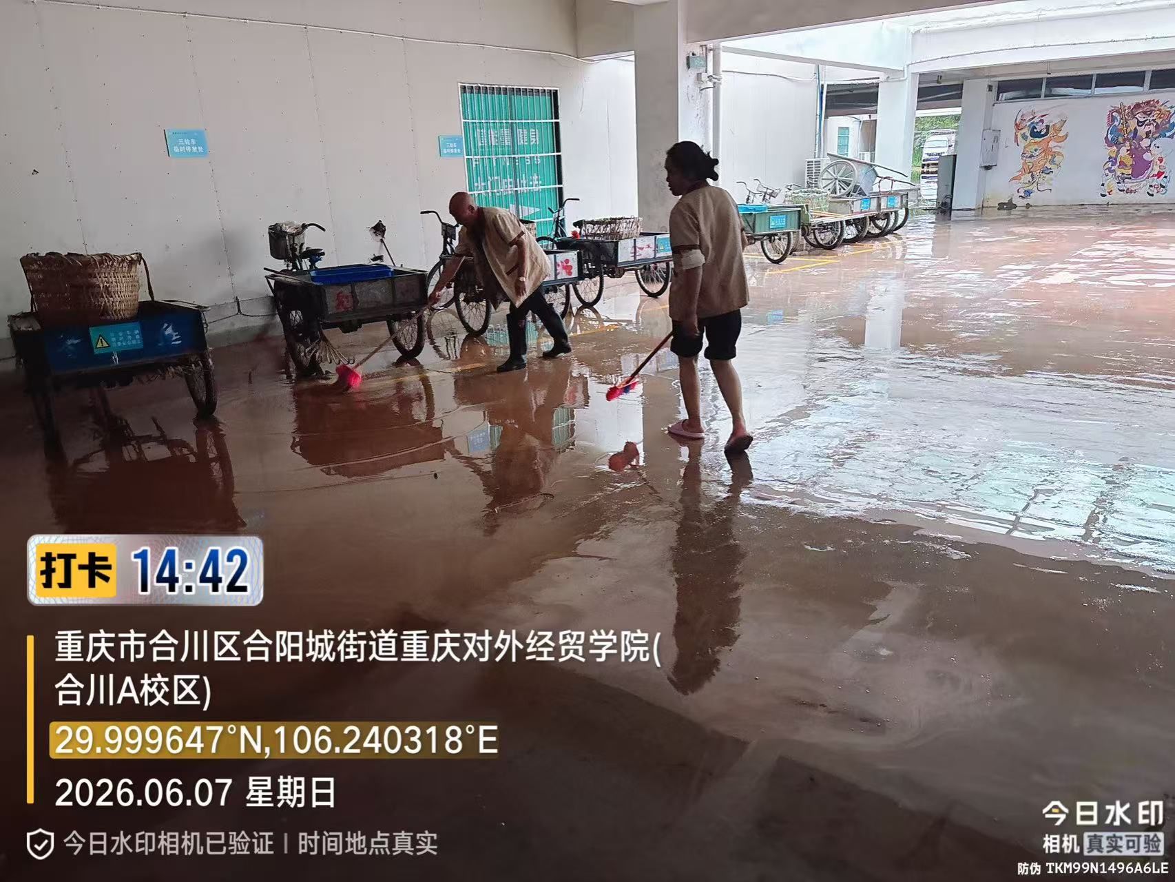 2138CC太阳集团